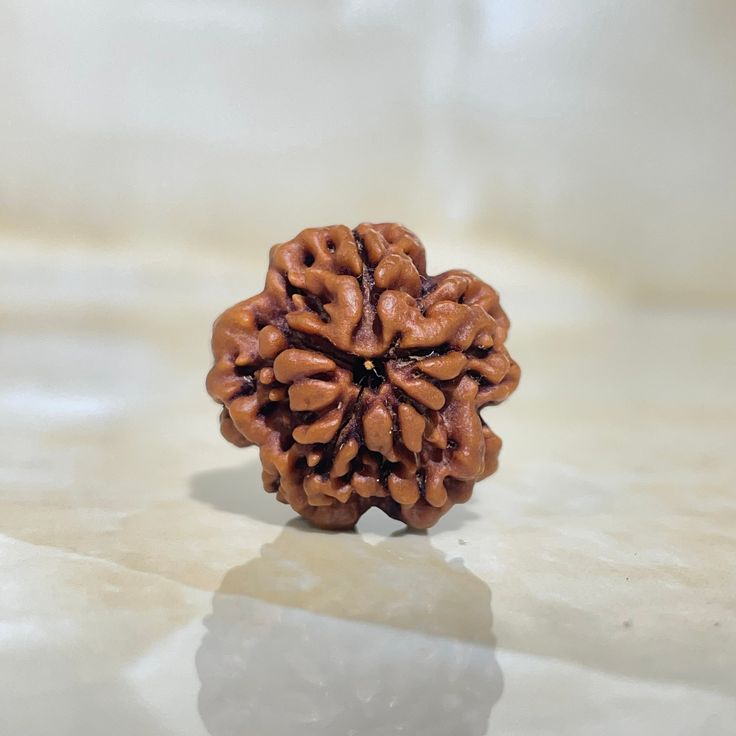 The significance of the one-faced Rudraksha: