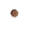 8 Mukhi Nepalese Rudraksha