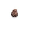 8 Mukhi Garbh Gauri Nepalese Rudraksha (With IGL Lab Test)