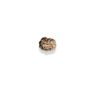 3 Mukhi Indian Rudraksha (With IGL Lab Test) - Image 3