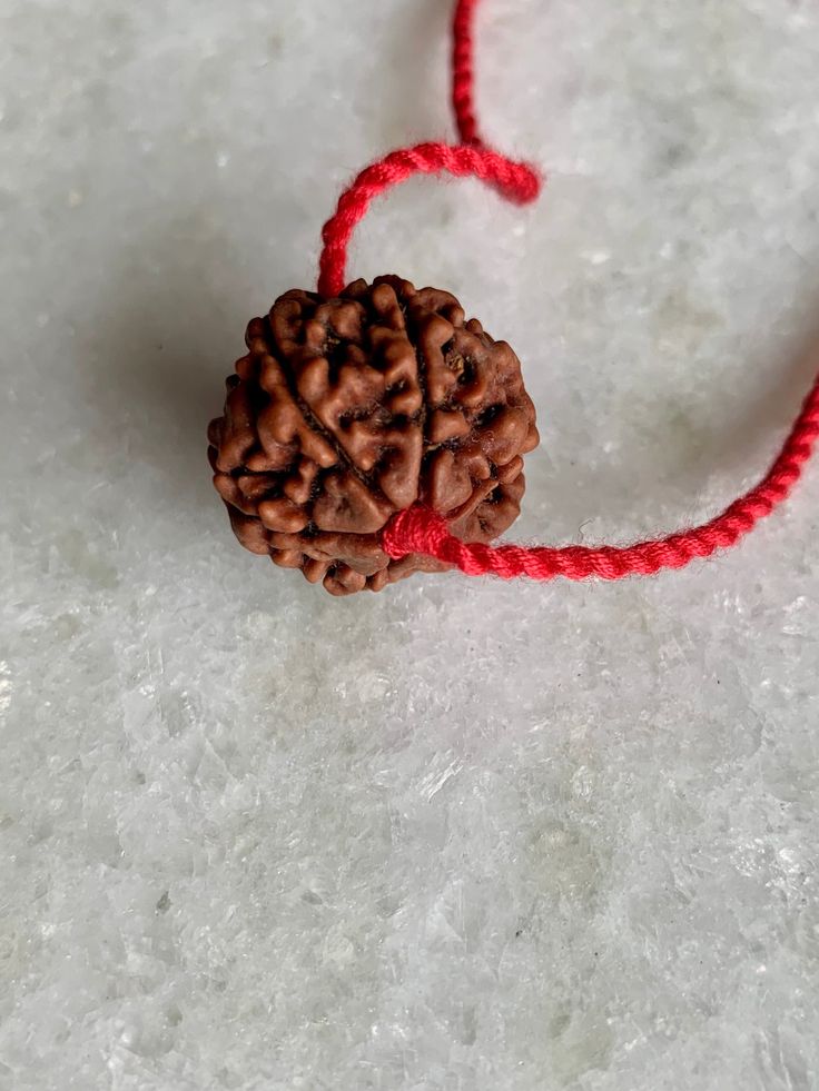 Let’s explore the ideal Rudraksha for each zodiac sign to wear in 2024 for abundant prosperity and wealth.