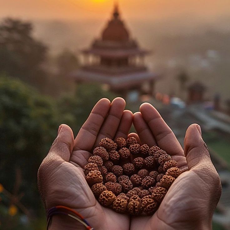 Rudraksha- Sacred Beads For Your Success