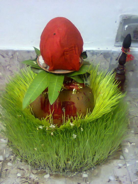 Dhurva Grass: The offering of dhurva grass is believed to remove debts and financial burdens. It is placed on the idol or image of the goddess.