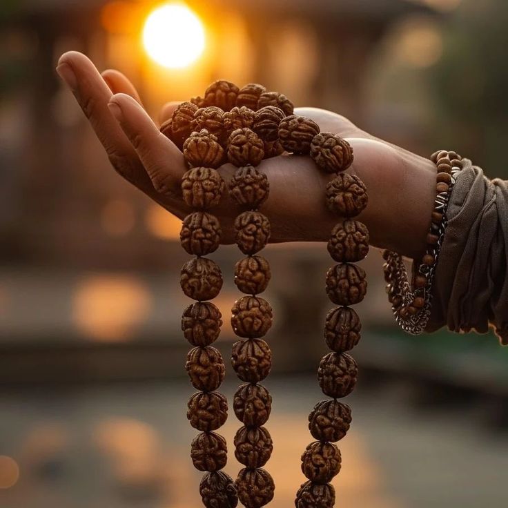 Savaan- Rudraksha Beads to wear
