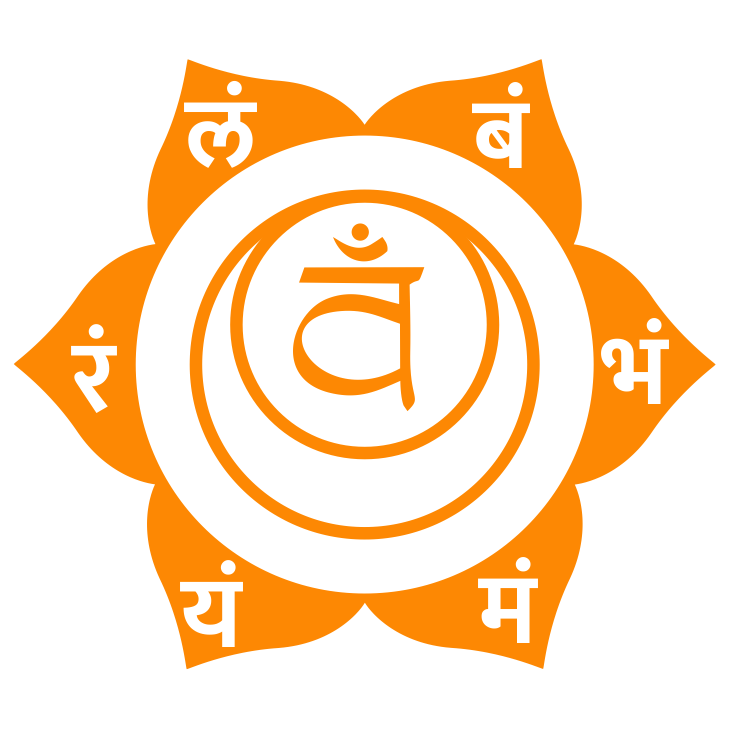 Sacral Chakra associated with 2 Mukhi Rudraksha