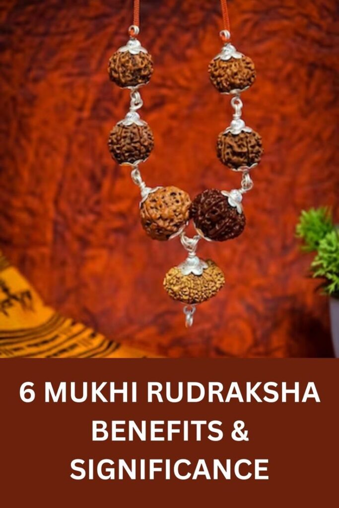 6 Mukhi Rudraksha-Importance, Benefits & Spiritual Mantra