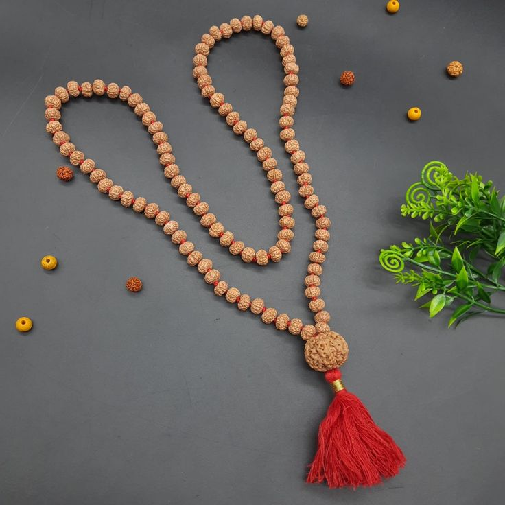 6 Mukhi Rudraksha-Importance, Benefits & Spiritual Mantra