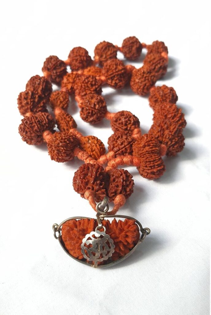 14 Mukhi Rudraksha- Benefits, Powerful uses & importance