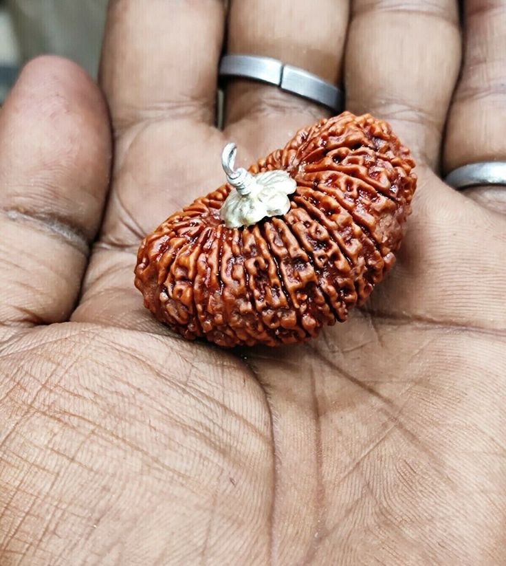 21 Mukhi Rudraksha- Benefits, Amazing Power & Importance