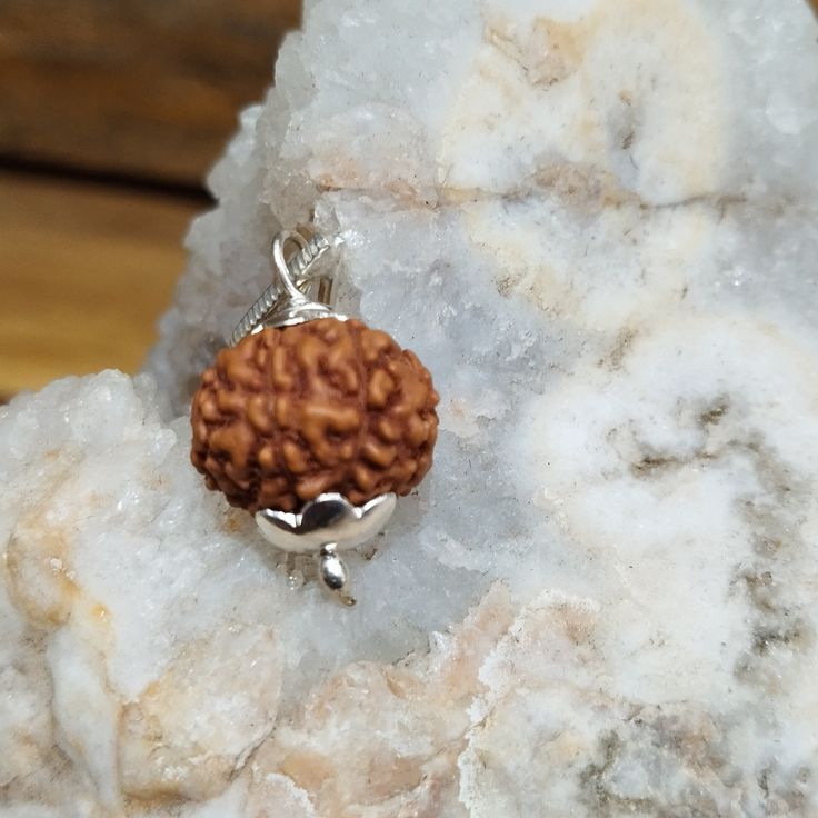 9 Mukhi Rudraksha – Benefits, Importance & Sacred Mantra
