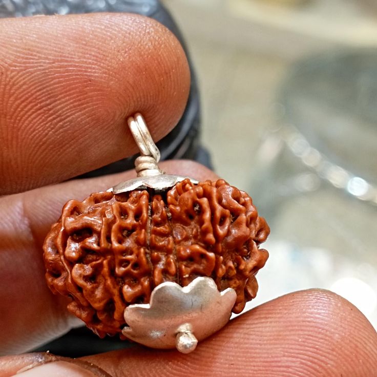 Image of the 11 Mukhi Rudraksha bead symbolizing strength, wisdom, and spiritual growth.