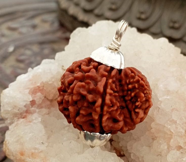 Garbh Gauri Rudraksha- 6 Divine Benefits, Power & importance