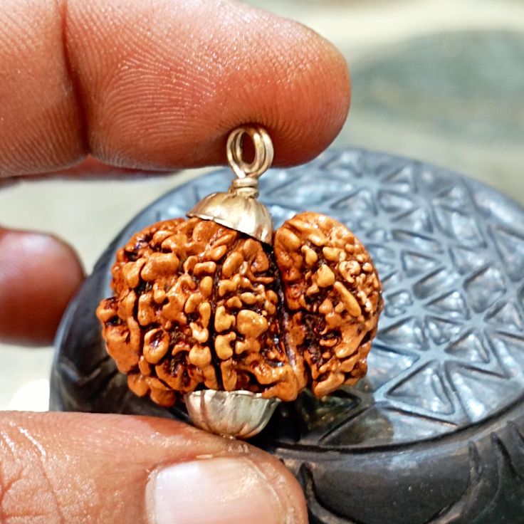 गौरी शंकर रुद्राक्ष (Gauri Shankar Rudraksha- 6 Benefits, Powerful uses & Significance) - लाभ, शक्तियाँ और महत्व