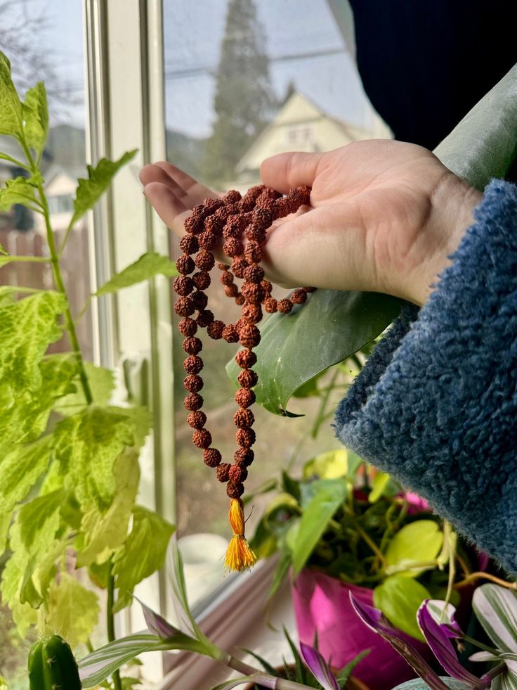 12 Mukhi Rudraksha- Benefits, Powerful uses & importance