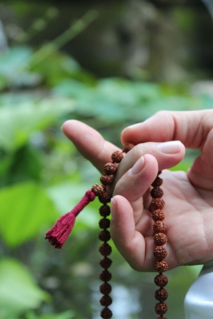 14 Mukhi Rudraksha- Benefits, Powerful uses & importance