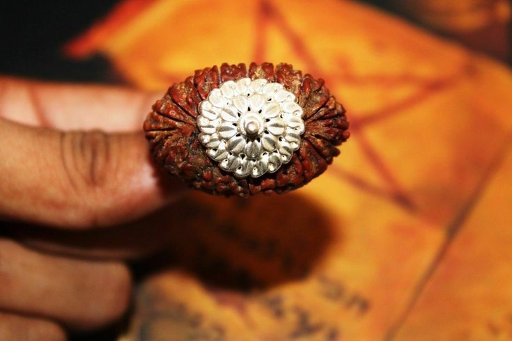 21 Mukhi Rudraksha- Benefits, Amazing Power & Importance