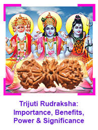 Trijuti Rudraksha- 6 Benefits, Powerful strengths & importance