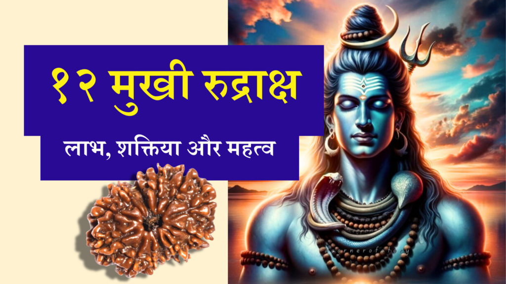 An image of the 12 Mukhi Rudraksha alongside a depiction of Lord Shiva with a serene and powerful background, symbolizing the spiritual energy and divine connection of the bead.