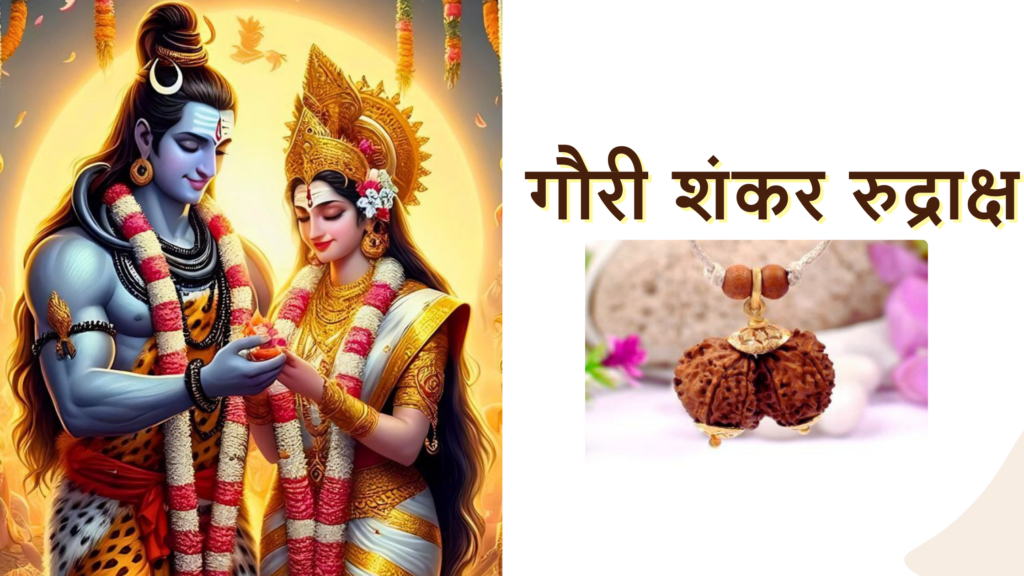 Gauri Shankar Rudraksha: 6 Benefits, Powerful Uses & Significance