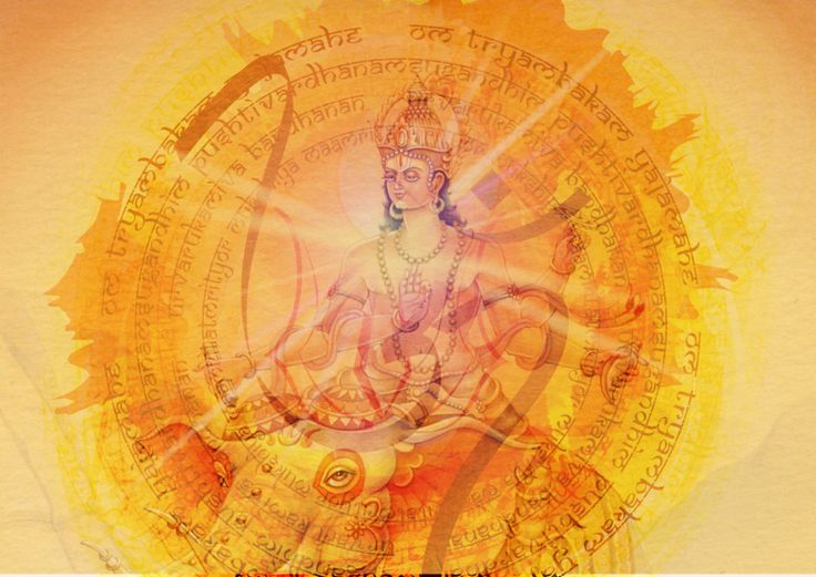 Pushya Nakshatra 27 June 2025: Auspicious Day for Wealth, Success & New Beginnings