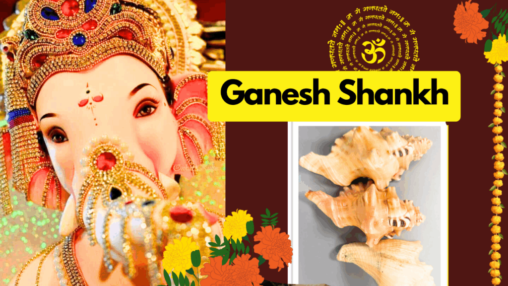 Ganesh idol blowing shankh with Ganesh Shankh conch shells – symbolizing wisdom, prosperity, and protection