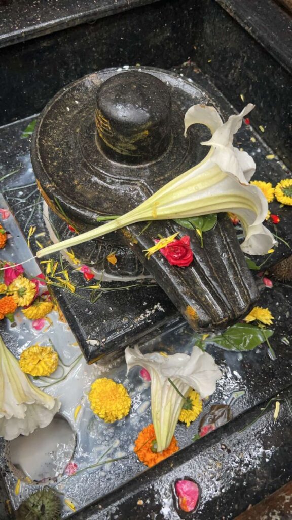 Why Shravan Month Is the Holiest for Lord Shiva Devotees – Know the Significance & Powerful Rituals